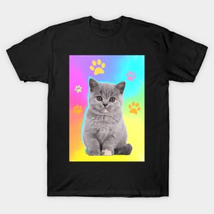 Cute Cat T-Shirt